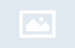 리드넘버X배민커넥트